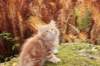 vanya105weeks259202320_small.jpg