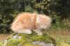 vanya105weeks259202322_small.jpg