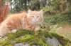 vanya105weeks259202324_small.jpg