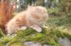 vanya105weeks259202326_small.jpg