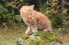 vanya105weeks25920232_small.jpg