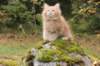 vanya105weeks25920238_small.jpg