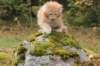 vanya105weeks25920239_small.jpg