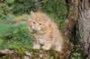 vanya125weeks810202335_small.jpg