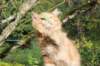 vanya125weeks810202344_small.jpg
