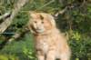 vanya125weeks810202345_small.jpg