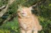vanya125weeks810202346_small.jpg