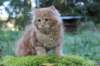 vanya125weeks81020234_small.jpg