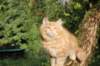 vanya125weeks810202350_small.jpg