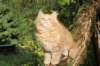 vanya125weeks810202356_small.jpg
