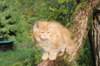 vanya125weeks810202359_small.jpg