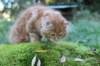vanya125weeks81020235_small.jpg