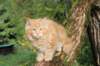 vanya125weeks810202361_small.jpg