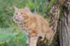 vanya125weeks810202367_small.jpg