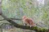 vanya125weeks810202389_small.jpg