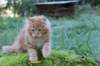vanya125weeks81020238_small.jpg