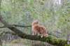 vanya125weeks810202390_small.jpg