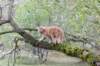 vanya125weeks810202395_small.jpg