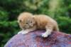 vanyad22ot25weeks317202312_small.jpg