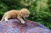 vanyad22ot25weeks317202316_small.jpg