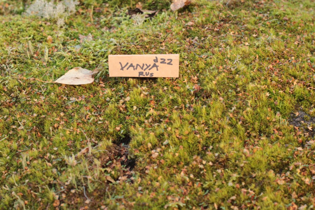 vanyad222months11920231.jpg