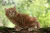 vanya65weeks298202311_small.jpg