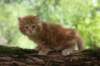 vanya65weeks298202312_small.jpg
