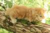 vanya65weeks29820232_small.jpg