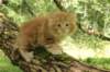 vanya65weeks29820236_small.jpg
