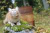 venyamin105weeks64_small.jpg