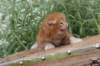 venyamin4weeks1182023ve2214_small.jpg