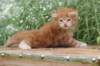 venyamin4weeks1182023ve2218_small.jpg