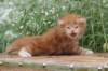 venyamin4weeks1182023ve2219_small.jpg