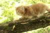 venyamin65weeks298202311_small.jpg