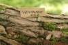 venyamin65weeks29820231_small.jpg