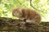 venyamin65weeks29820233_small.jpg