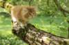 venyamin65weeks29820238_small.jpg