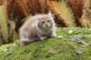 vidal105weeks259202328_small.jpg