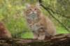 vidal105weeks25920239_small.jpg