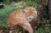 vidal125weeks81020231_small.jpg