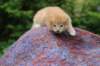 vidalvt2425weeks317202310_small.jpg