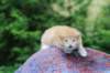 vidalvt2425weeks317202312_small.jpg