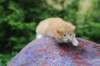 vidalvt2425weeks317202313_small.jpg