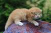 vidalvt2425weeks317202317_small.jpg