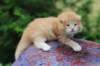 vidalvt2425weeks31720231_small.jpg