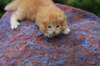 vidalvt2425weeks31720233_small.jpg