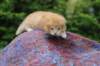 vidalvt2425weeks31720239_small.jpg