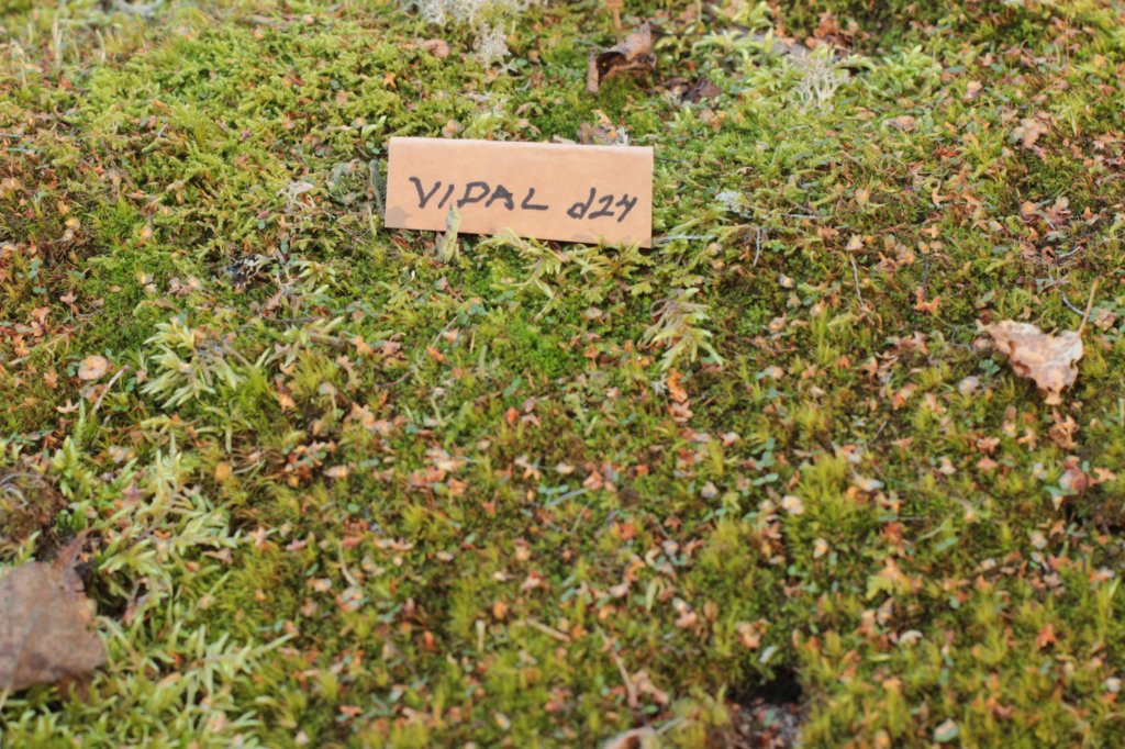 vidald242months11920231.jpg
