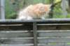 vidald242months119202310_small.jpg