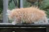 vidald242months119202313_small.jpg